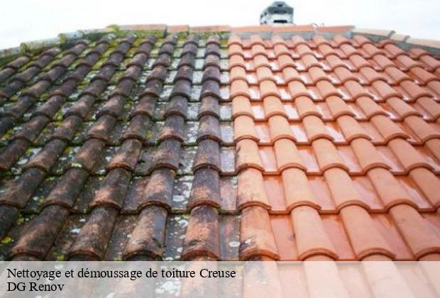 Nettoyage et démoussage de toiture 23 Creuse  DG Renov
