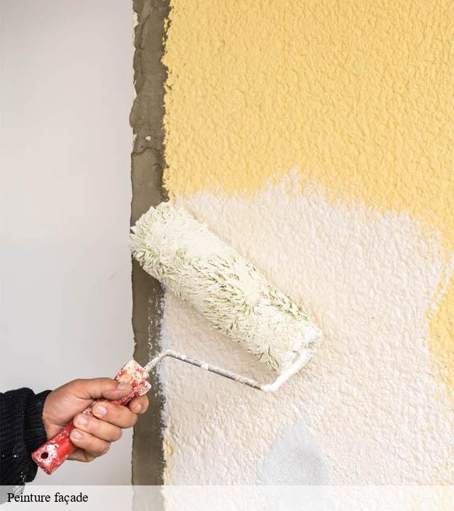 Peinture façade  sainte-feyre-23000 DG Renov