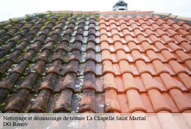 Nettoyage et démoussage de toiture  la-chapelle-saint-martial-23250 DG Renov