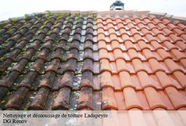 Nettoyage et démoussage de toiture  ladapeyre-23270 DG Renov