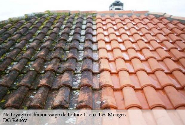 Nettoyage et démoussage de toiture  lioux-les-monges-23700 DG Renov