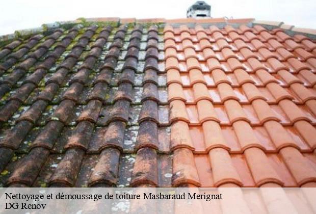 Nettoyage et démoussage de toiture  masbaraud-merignat-23400 DG Renov