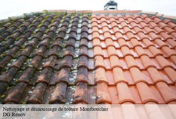Nettoyage et démoussage de toiture  montboucher-23400 DG Renov