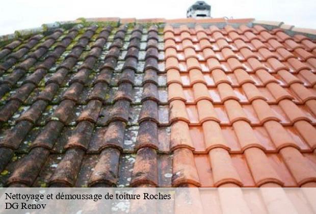 Nettoyage et démoussage de toiture  roches-23270 DG Renov