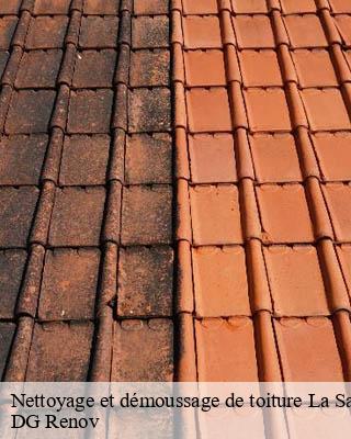 Nettoyage et démoussage de toiture  la-sauniere-23000 DG Renov