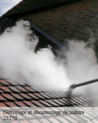 Nettoyage et démoussage de toiture  saint-dizier-les-domaines-23270 DG Renov