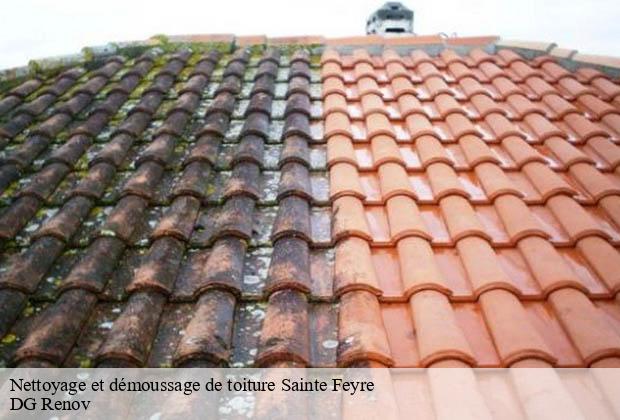 Nettoyage et démoussage de toiture  sainte-feyre-23000 DG Renov