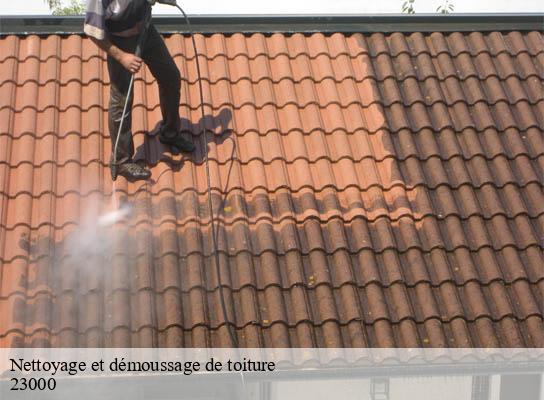 Nettoyage et démoussage de toiture  sainte-feyre-23000 DG Renov