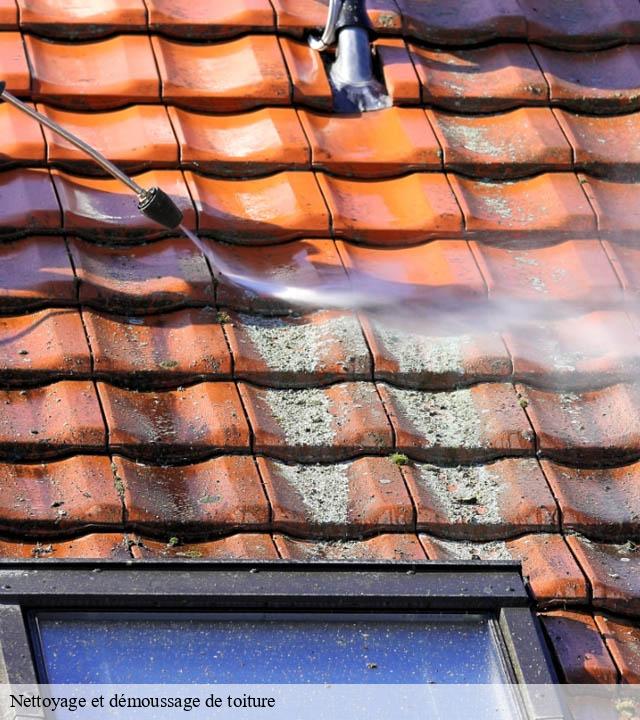 Nettoyage et démoussage de toiture  sainte-feyre-23000 DG Renov