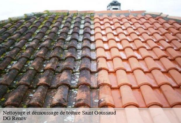 Nettoyage et démoussage de toiture  saint-goussaud-23430 DG Renov