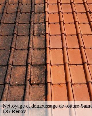 Nettoyage et démoussage de toiture  saint-goussaud-23430 DG Renov