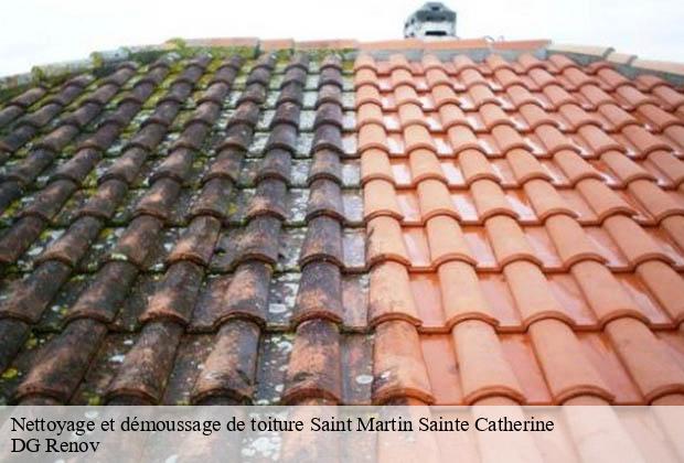 Nettoyage et démoussage de toiture  saint-martin-sainte-catherine-23430 DG Renov
