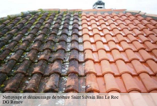 Nettoyage et démoussage de toiture  saint-silvain-bas-le-roc-23600 DG Renov
