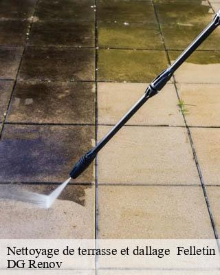 Nettoyage de terrasse et dallage   felletin-23500 DG Renov