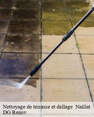 Nettoyage de terrasse et dallage   naillat-23800 DG Renov