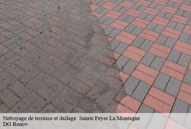 Nettoyage de terrasse et dallage   sainte-feyre-la-montagne-23500 DG Renov
