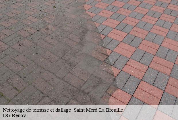 Nettoyage de terrasse et dallage   saint-merd-la-breuille-23100 DG Renov