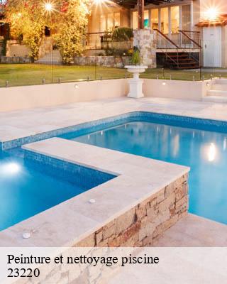 Peinture et nettoyage piscine  linard-23220 DG Renov