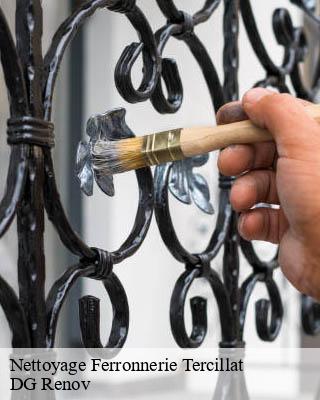 Nettoyage Ferronnerie  tercillat-23350 DG Renov