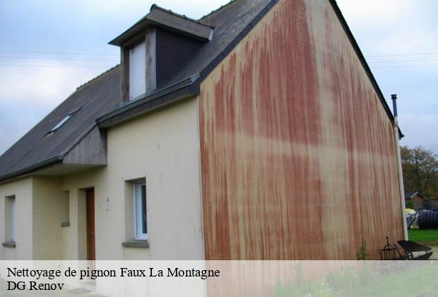 Nettoyage de pignon  faux-la-montagne-23340 DG Renov