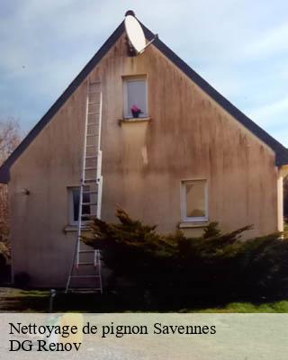 Nettoyage de pignon savennes-23000 DG Renov