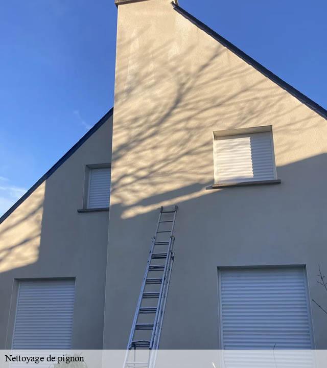 Nettoyage de pignon  sainte-feyre-23000 DG Renov