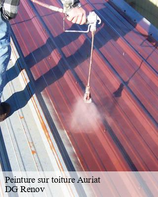 Peinture sur toiture  auriat-23400 DG Renov