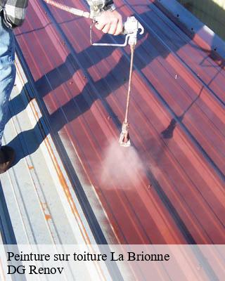Peinture sur toiture  la-brionne-23000 DG Renov