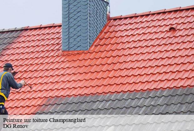 Peinture sur toiture  champsanglard-23220 DG Renov