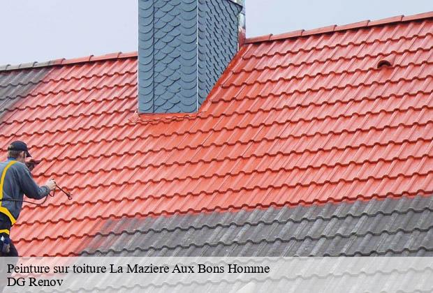 Peinture sur toiture  la-maziere-aux-bons-homme-23260 DG Renov