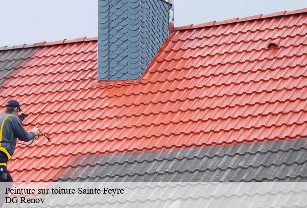 Peinture sur toiture  sainte-feyre-23000 DG Renov