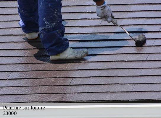 Peinture sur toiture  sainte-feyre-23000 DG Renov