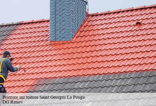 Peinture sur toiture  saint-georges-la-pouge-23250 DG Renov