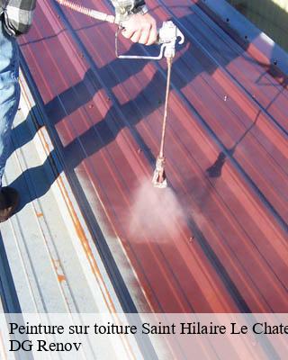 Peinture sur toiture saint-hilaire-le-chateau-23250 DG Renov