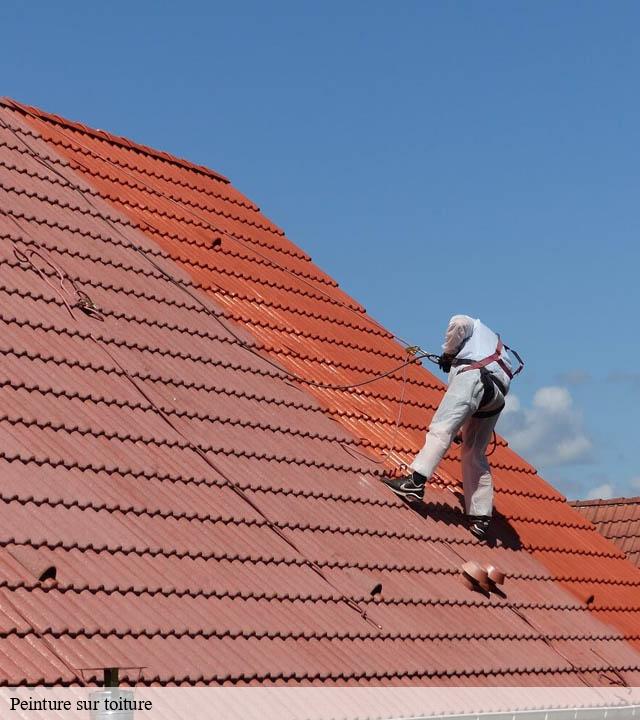 Peinture sur toiture  saint-michel-de-veisse-23480 DG Renov