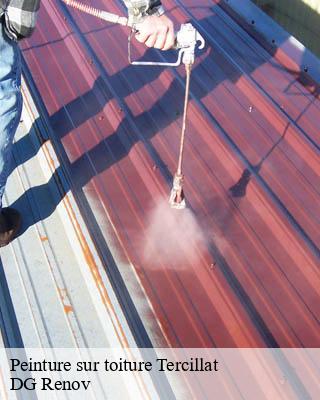 Peinture sur toiture  tercillat-23350 DG Renov