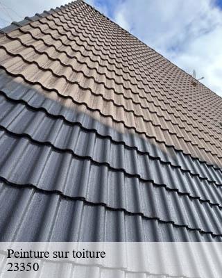 Peinture sur toiture  tercillat-23350 DG Renov
